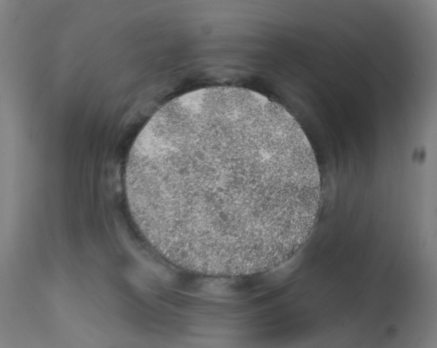 X0000112380182200909241223