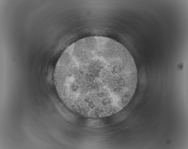 X0000112380185200909241224