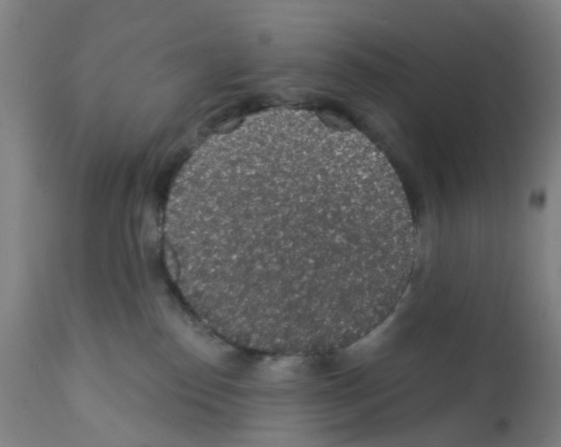 X0000112380186200909241224