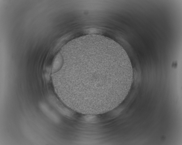 X0000112380189200909241224