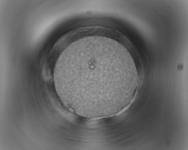 X0000112380191200909241224