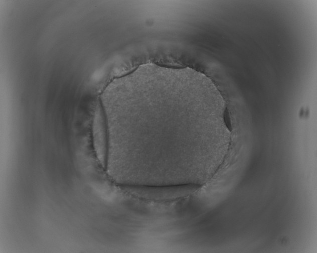 X0000112380192200909241224