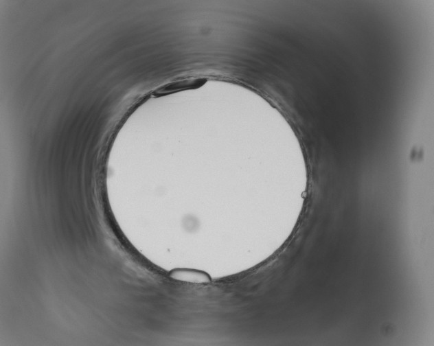 X0000112380193200909241223