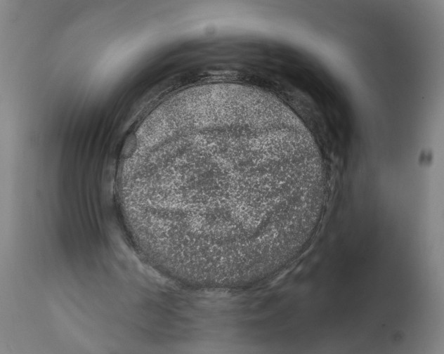 X0000112380194200909241223