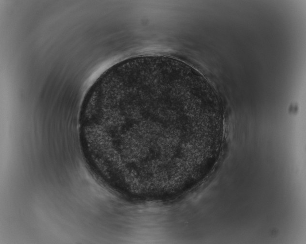 X0000112380196200909241223