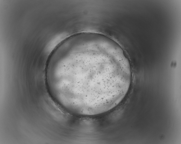 X0000112380199200909241223