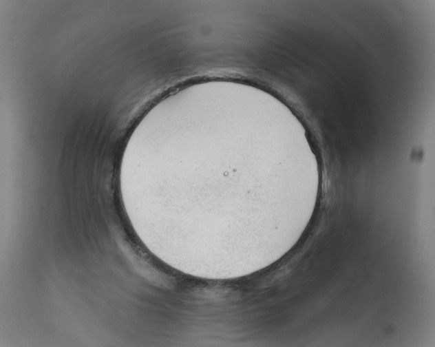 X0000112380201200909241223