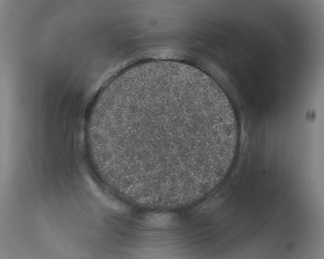 X0000112380202200909241223