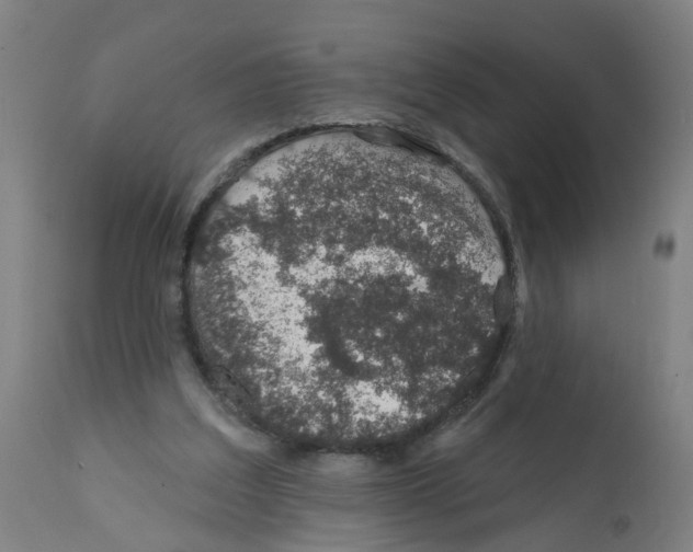 X0000112380203200909241223