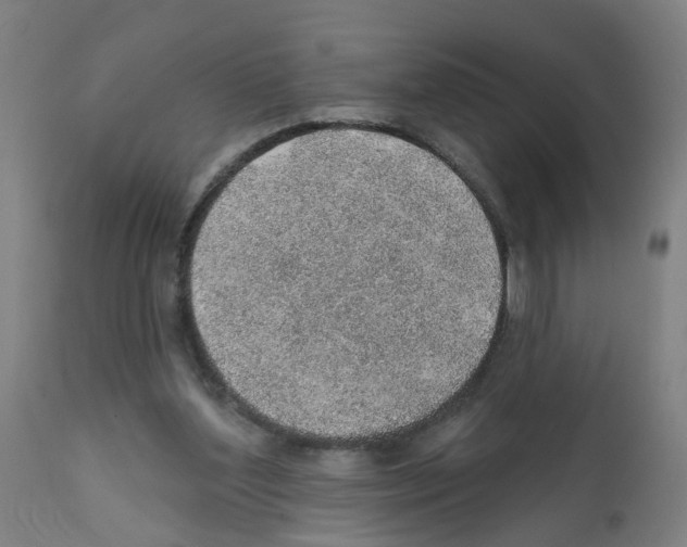 X0000112380204200909241223