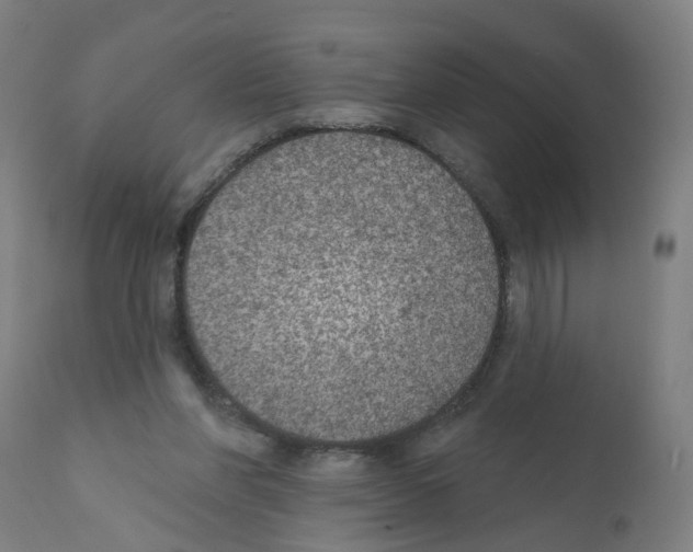 X0000112380206200909241223