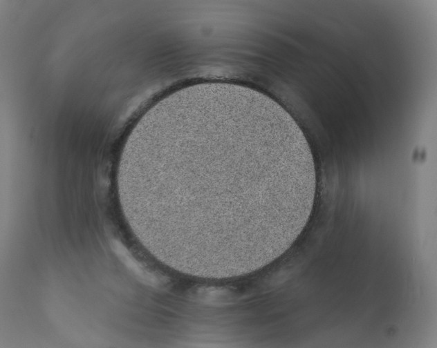 X0000112380208200909241223