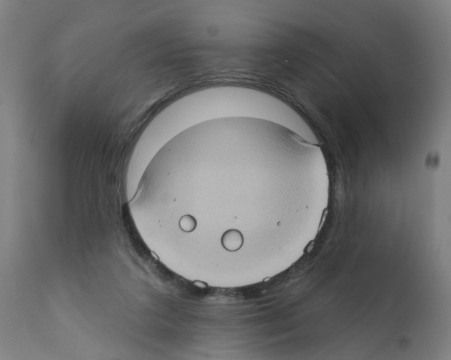 X0000112380211200909241223