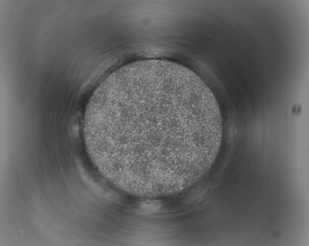 X0000112380214200909241222