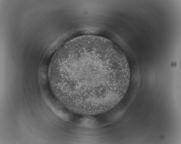 X0000112380215200909241222