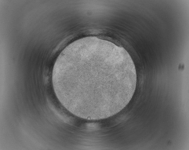 X0000112380216200909241222