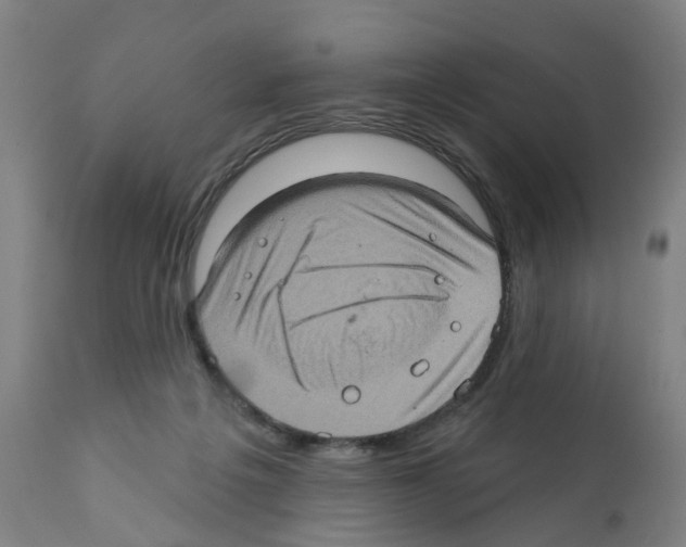 X0000112380217200909241222