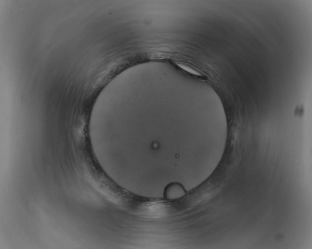 X0000112380219200909241222