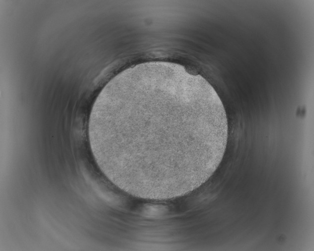 X0000112380220200909241222