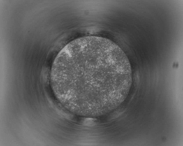 X0000112380222200909241222