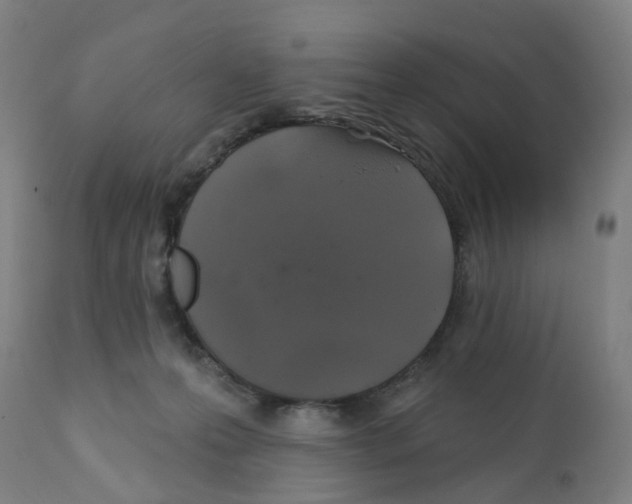 X0000112380223200909241222