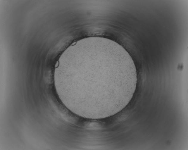 X0000112380224200909241222