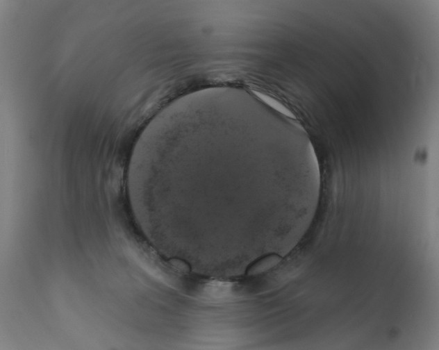 X0000112380227200909241222