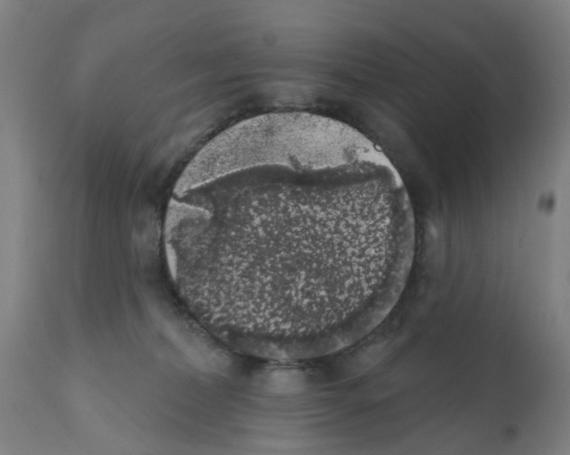 X0000112380228200909241222