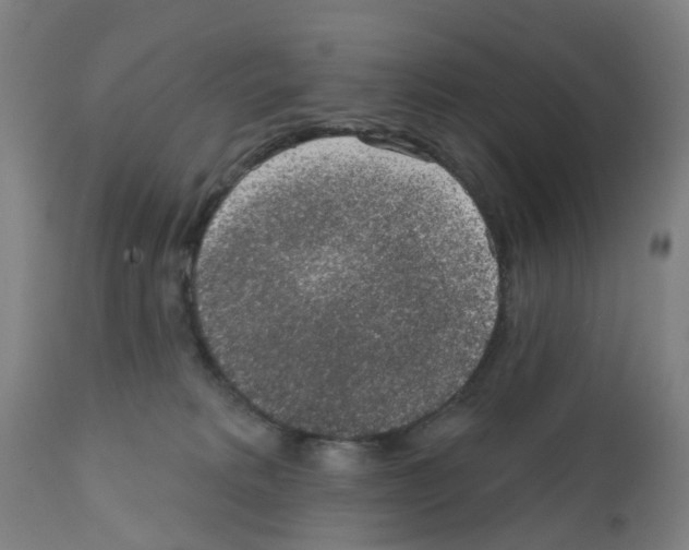 X0000112380229200909241222