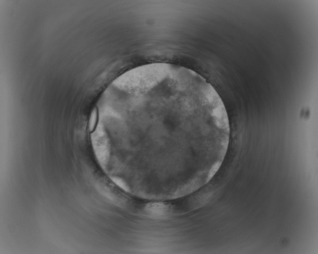 X0000112380231200909241222