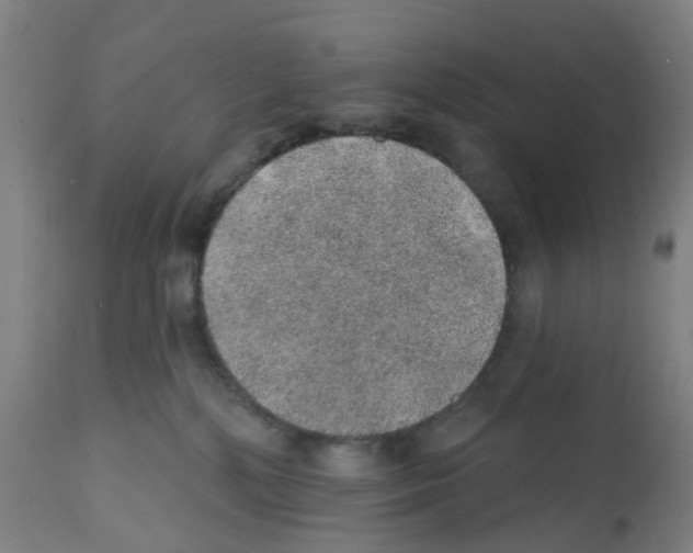 X0000112380232200909241222