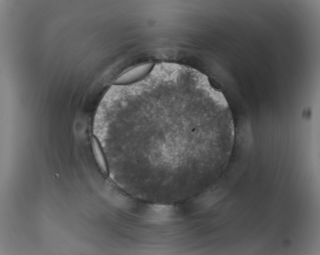 X0000112380233200909241222