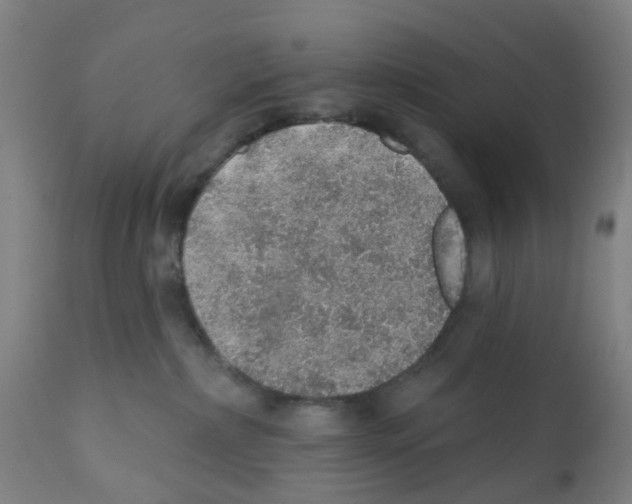 X0000112380236200909241222