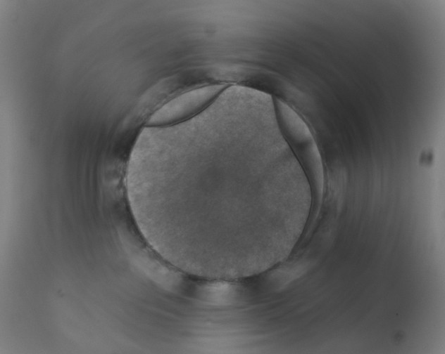 X0000112380237200909241222