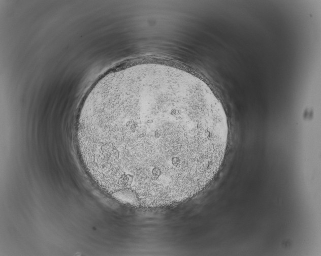 X0000112380241200909241221