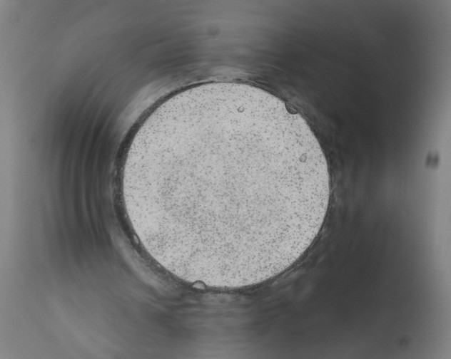 X0000112380242200909241221