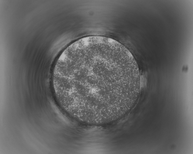 X0000112380243200909241221