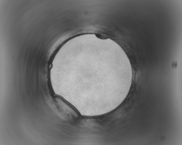 X0000112380244200909241221