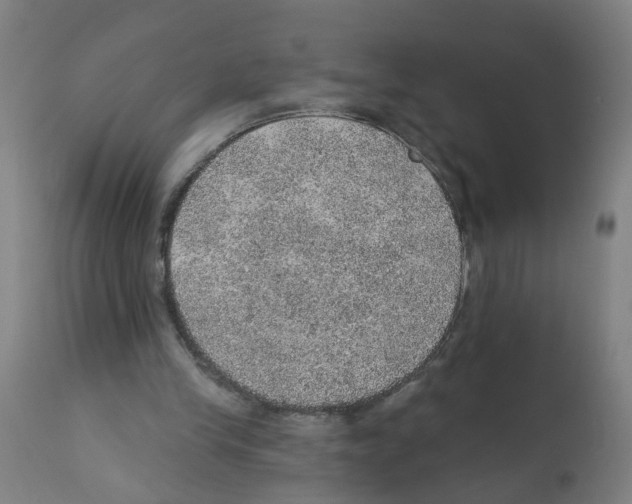 X0000112380245200909241222