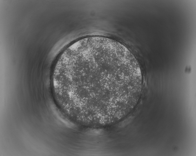 X0000112380247200909241222