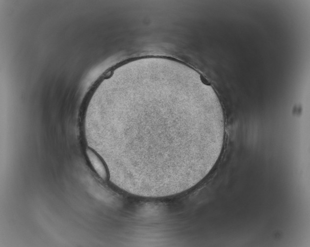 X0000112380248200909241222