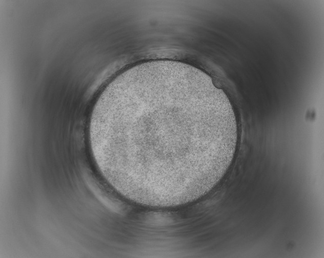 X0000112380250200909241222