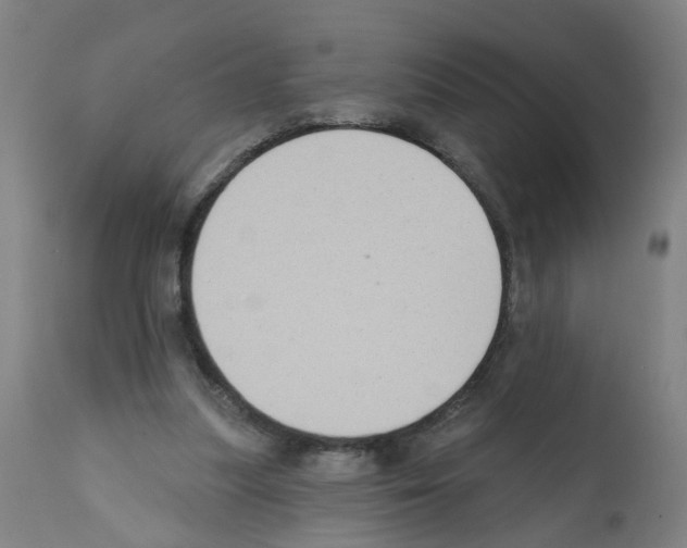 X0000112380251200909241222