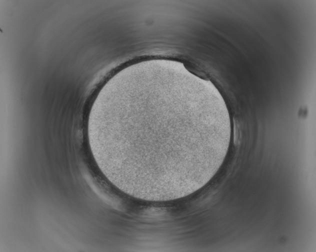 X0000112380252200909241222