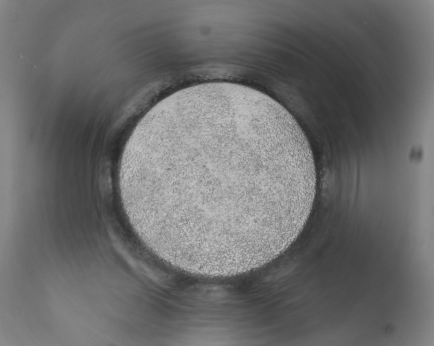 X0000112380254200909241222