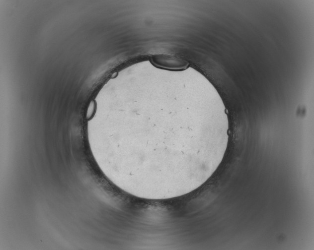 X0000112380256200909241222