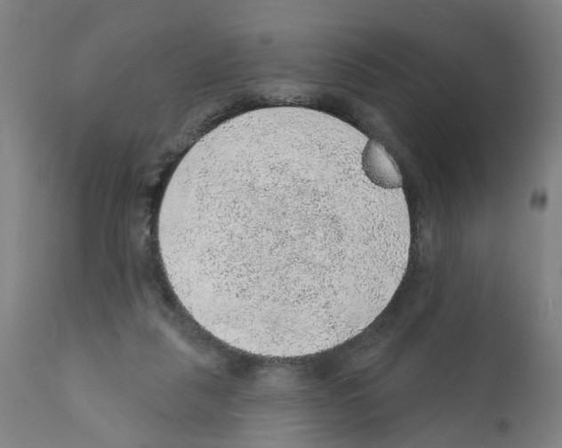 X0000112380259200909241222