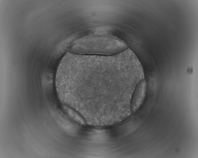 X0000112380260200909241222