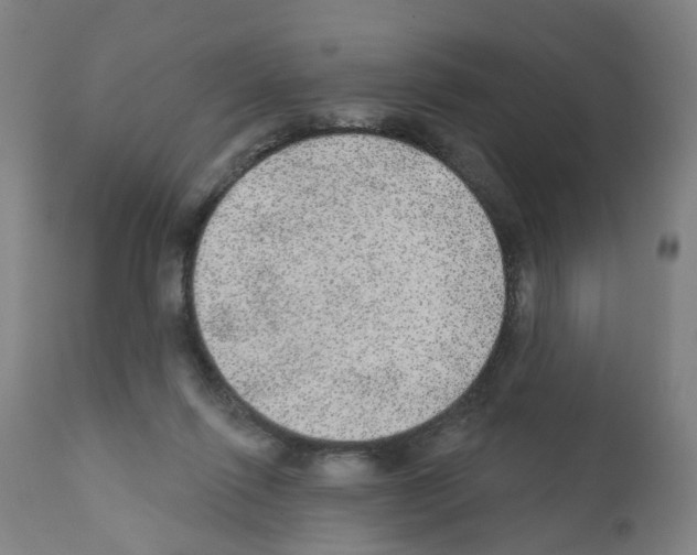 X0000112380262200909241222