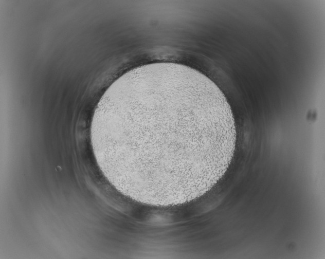 X0000112380263200909241222